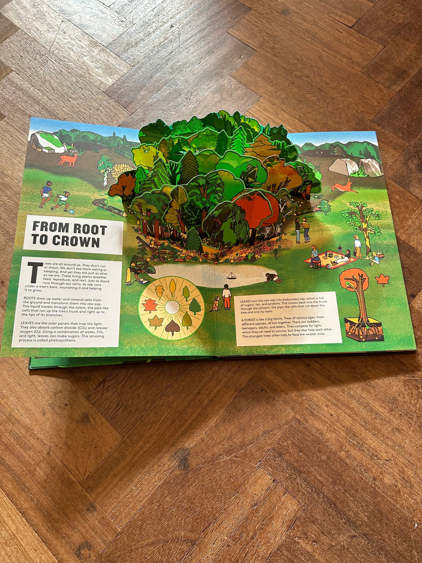 Pop-Up Forest – Fleur Daugey, Bernard Duisit and Tom Vaillat