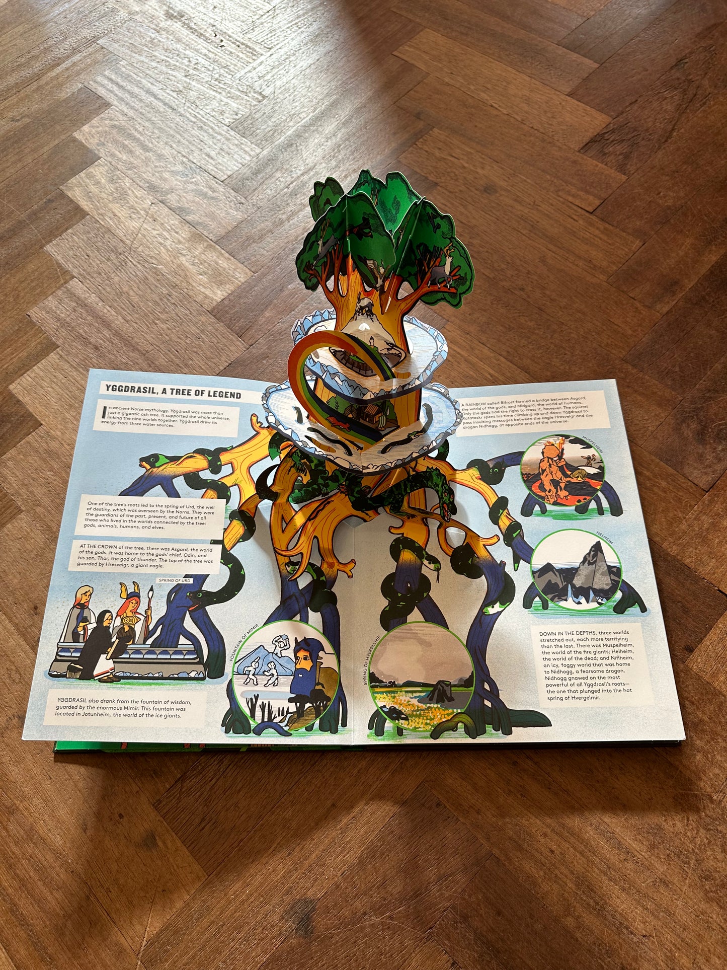 Pop-Up Forest – Fleur Daugey, Bernard Duisit and Tom Vaillat