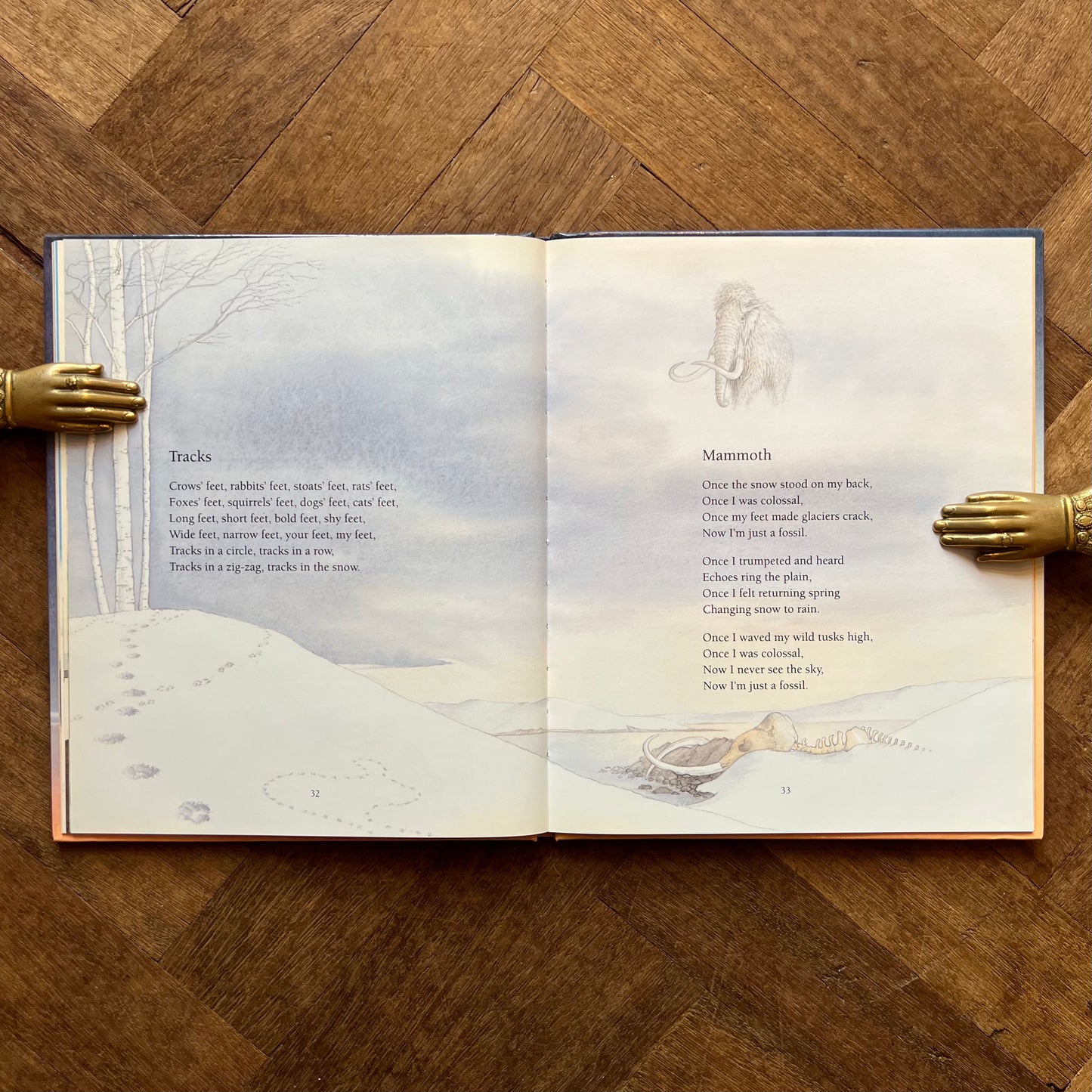 Moon Frog (1992 First Edition) – Richard Edwards and Sarah Fox-Davies