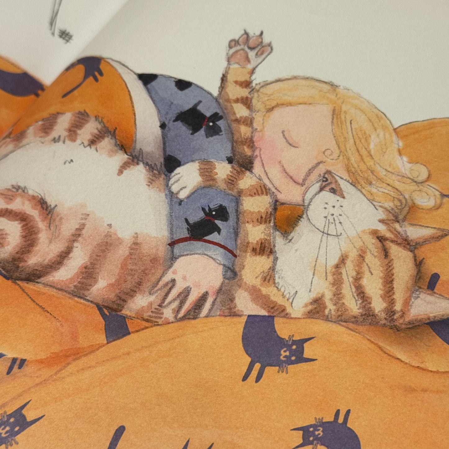 Matilda's Cat – Emily Gravett
