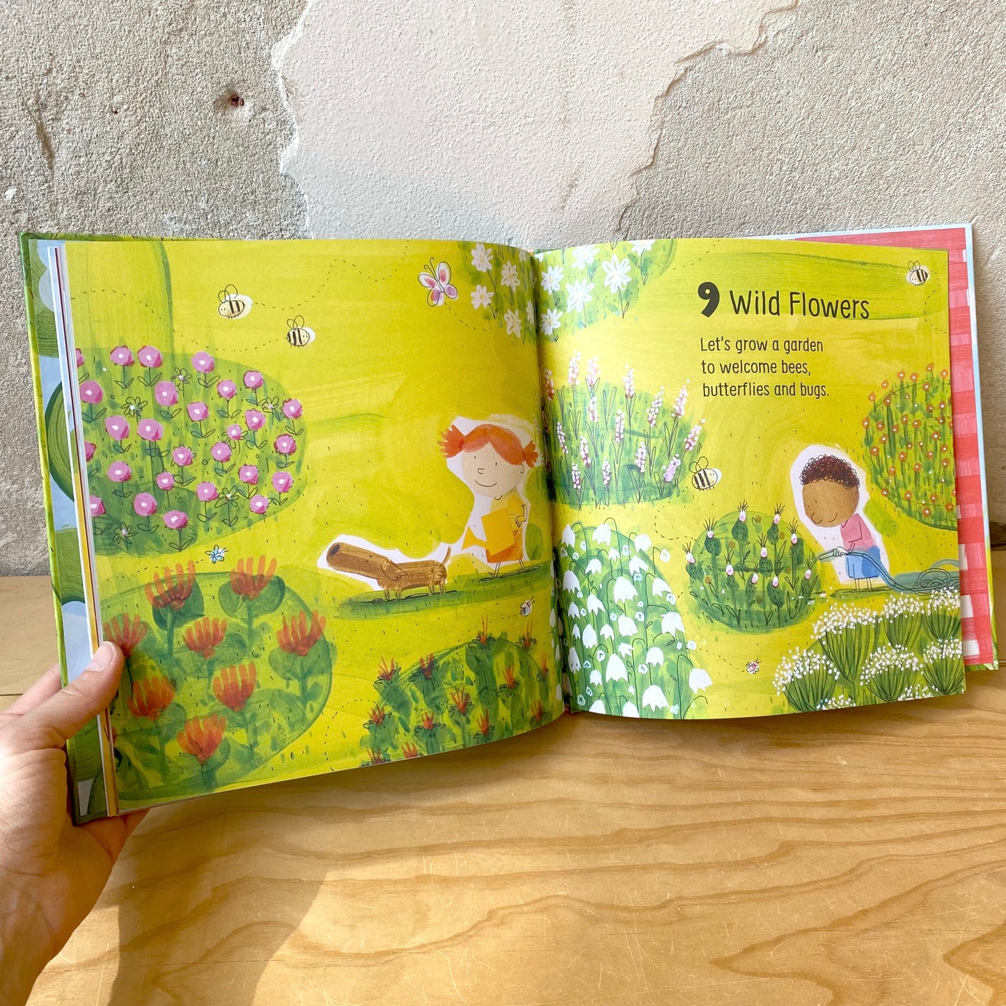 Counting in Green - Hollis Kurman, Barroux
