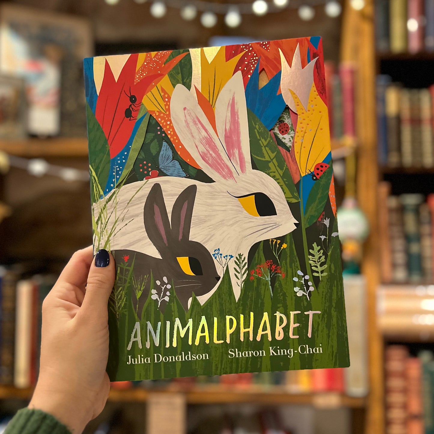 Animalphabet – Julia Donaldson, Sharon King-Chai