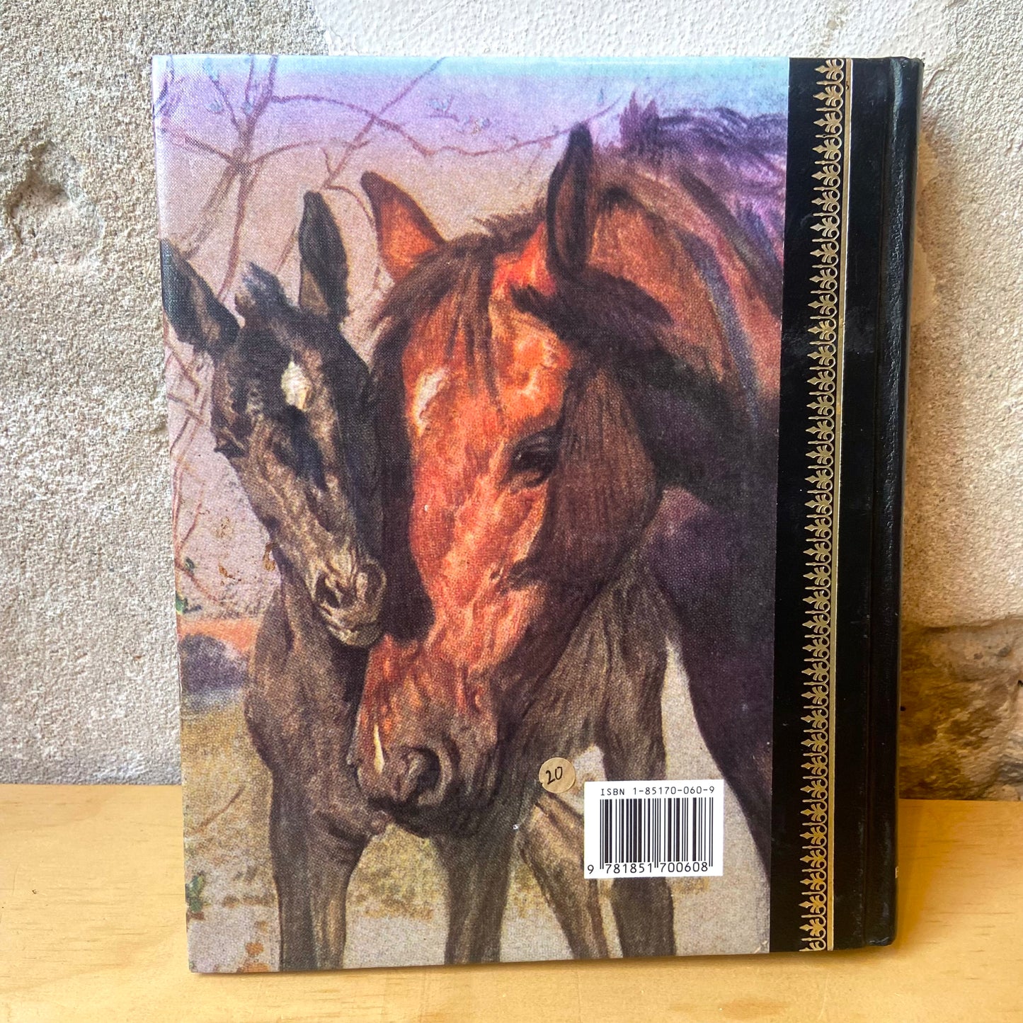 Black Beauty – Anna Sewell
