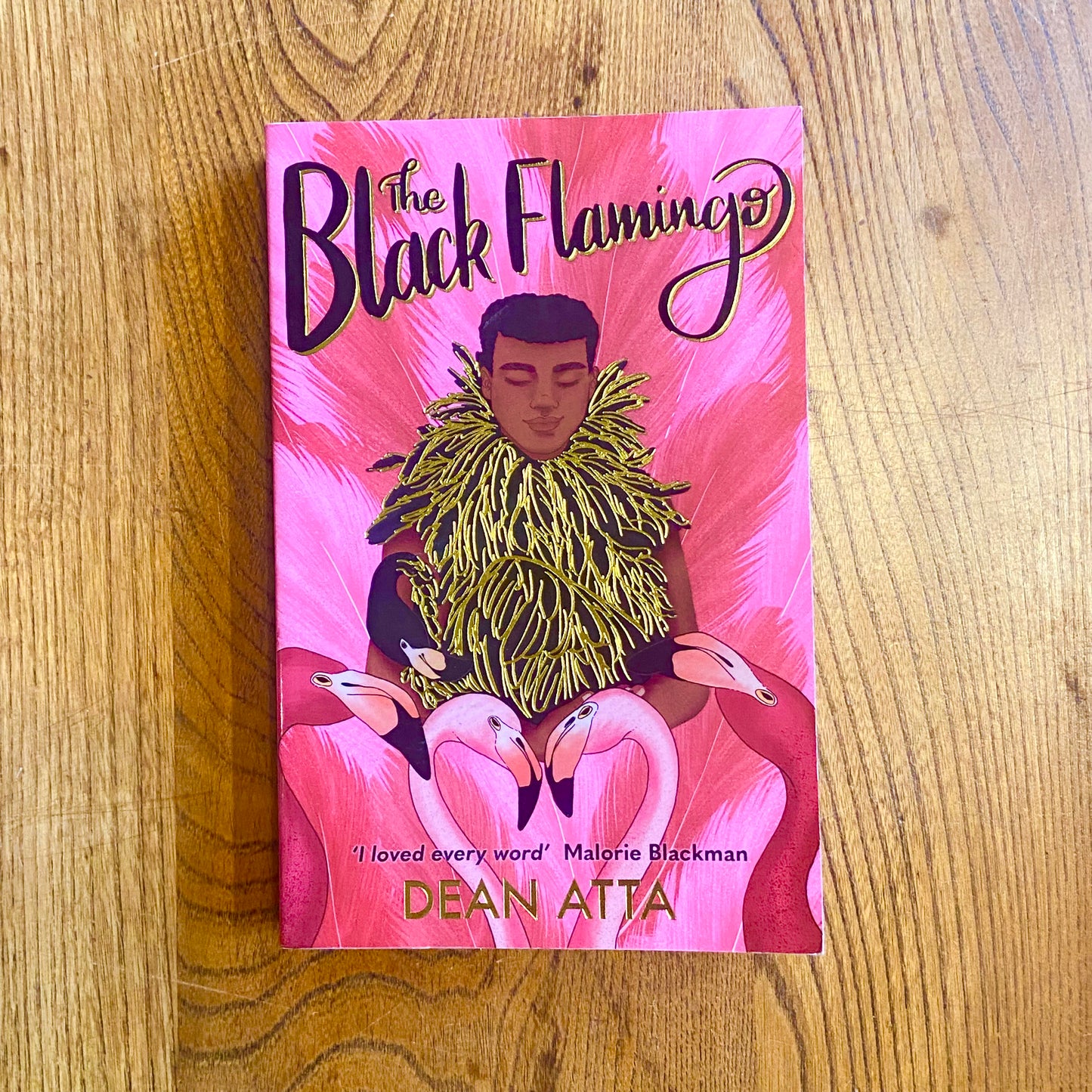 The Black Flamingo – Dean Atta