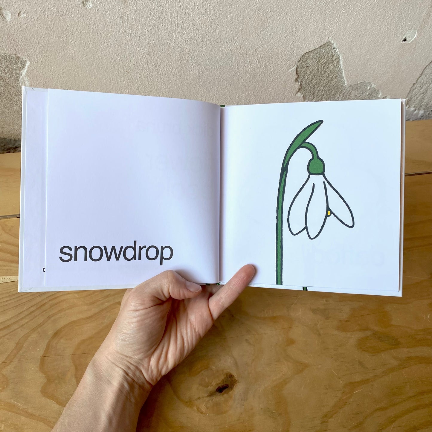 Flower Book - Dick Bruna