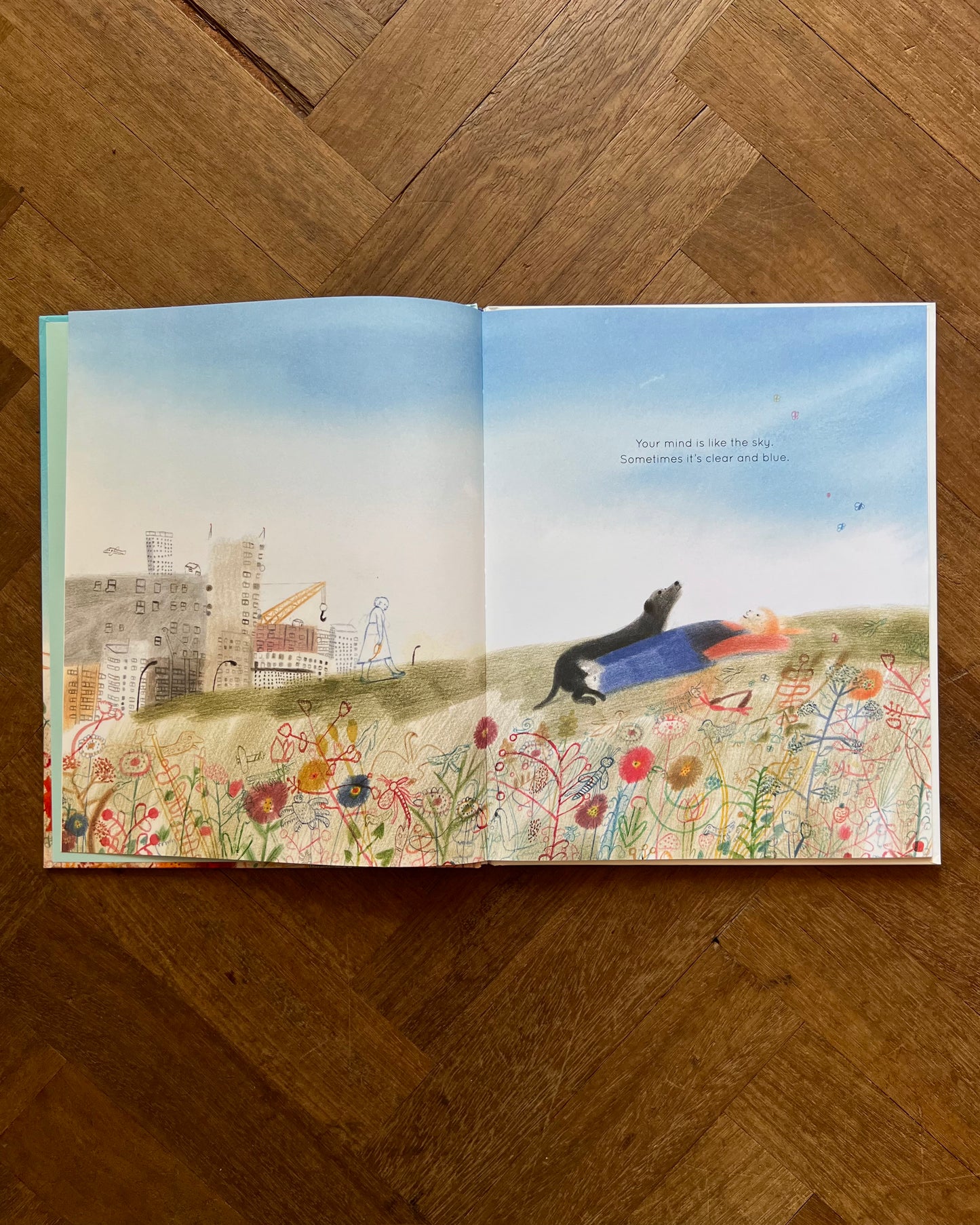 Your Mind is Like the Sky – Bronwen Ballard, Laura Carlin