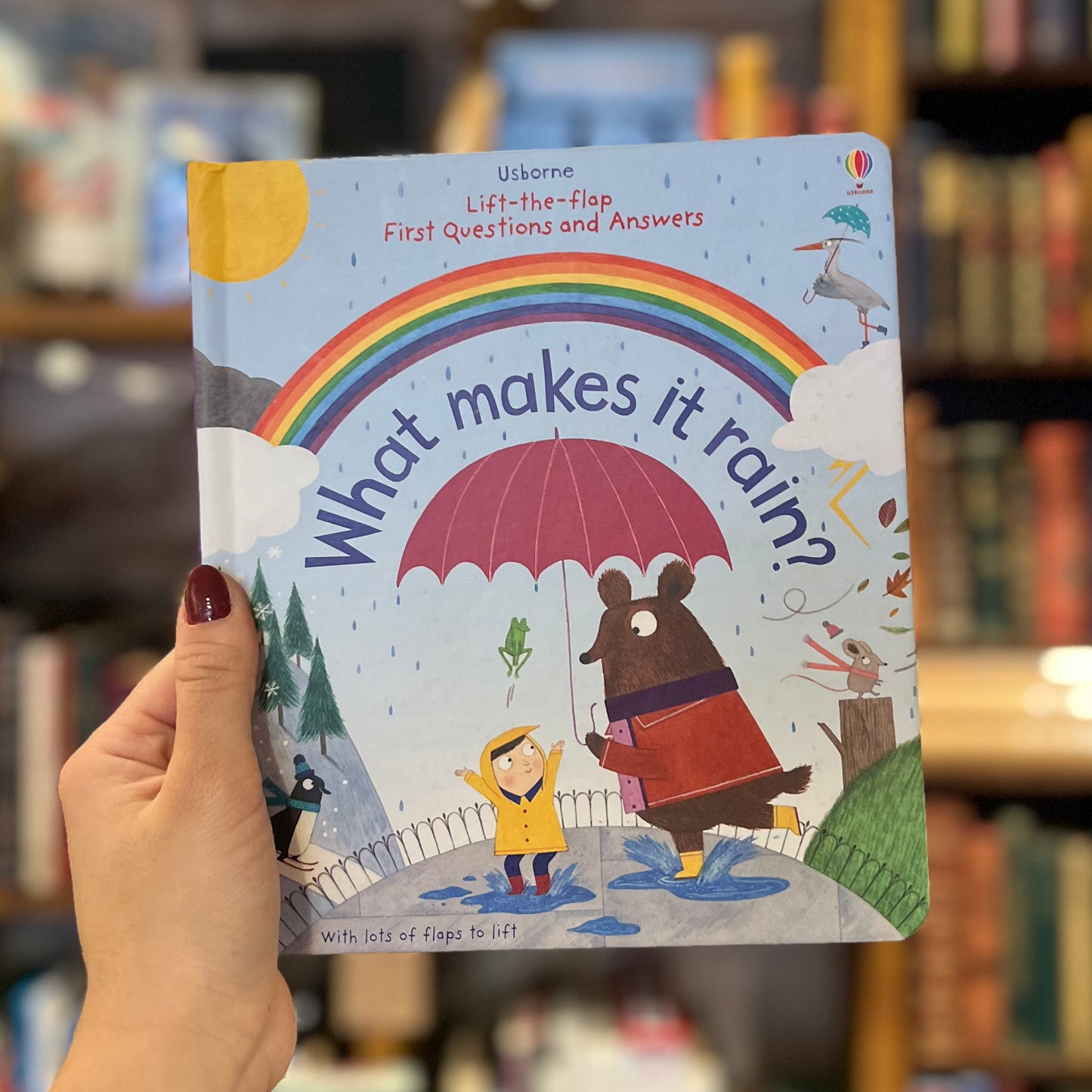 What Makes it Rain? (Usborne) – Katie Daynes, Christine Pym