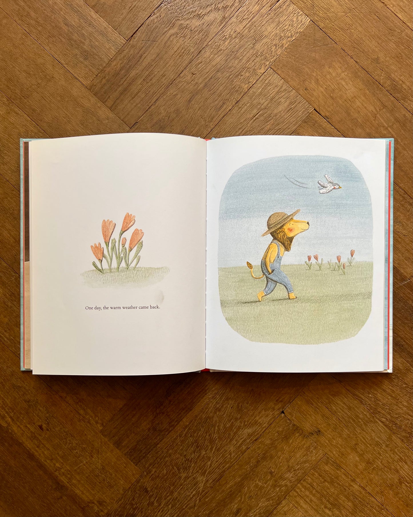 The Lion and the Bird – Marianne Dubuc