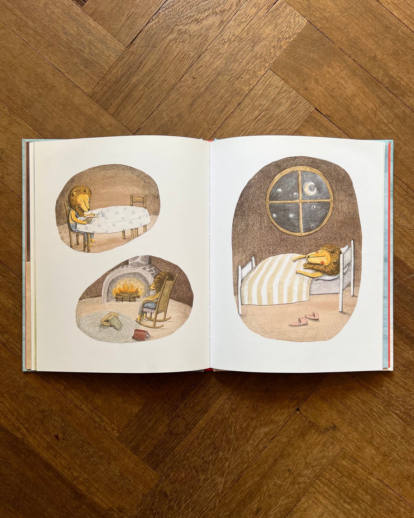The Lion and the Bird – Marianne Dubuc