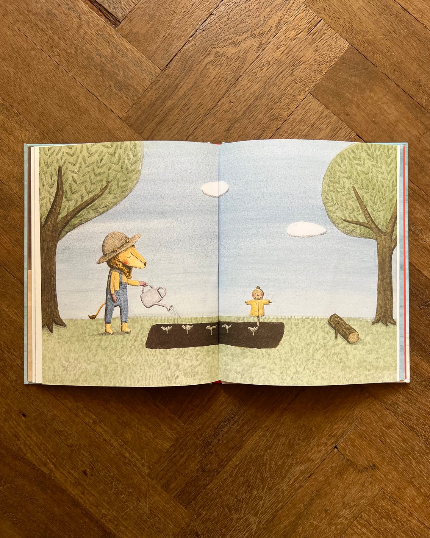 The Lion and the Bird – Marianne Dubuc