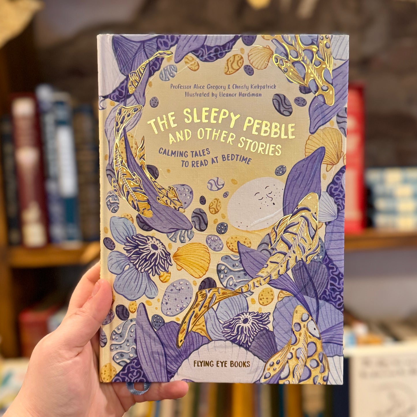 The Sleepy Pebble and Other Stories: Calming Tales to Read at Bedtime – Professor Alice Gregory, Christy Kirkpatrick and Eleanor Handiman