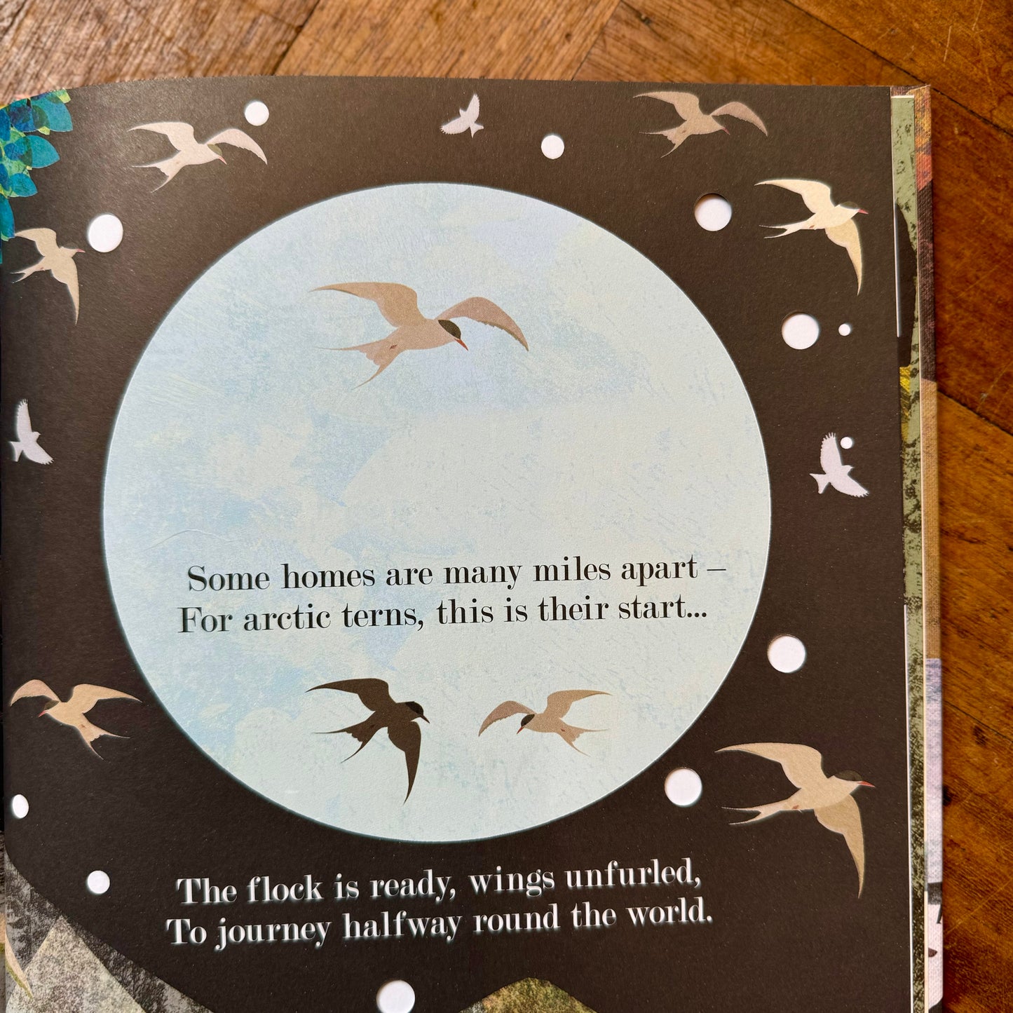 Home – Patricia Hegarty and Britta Teckentrup