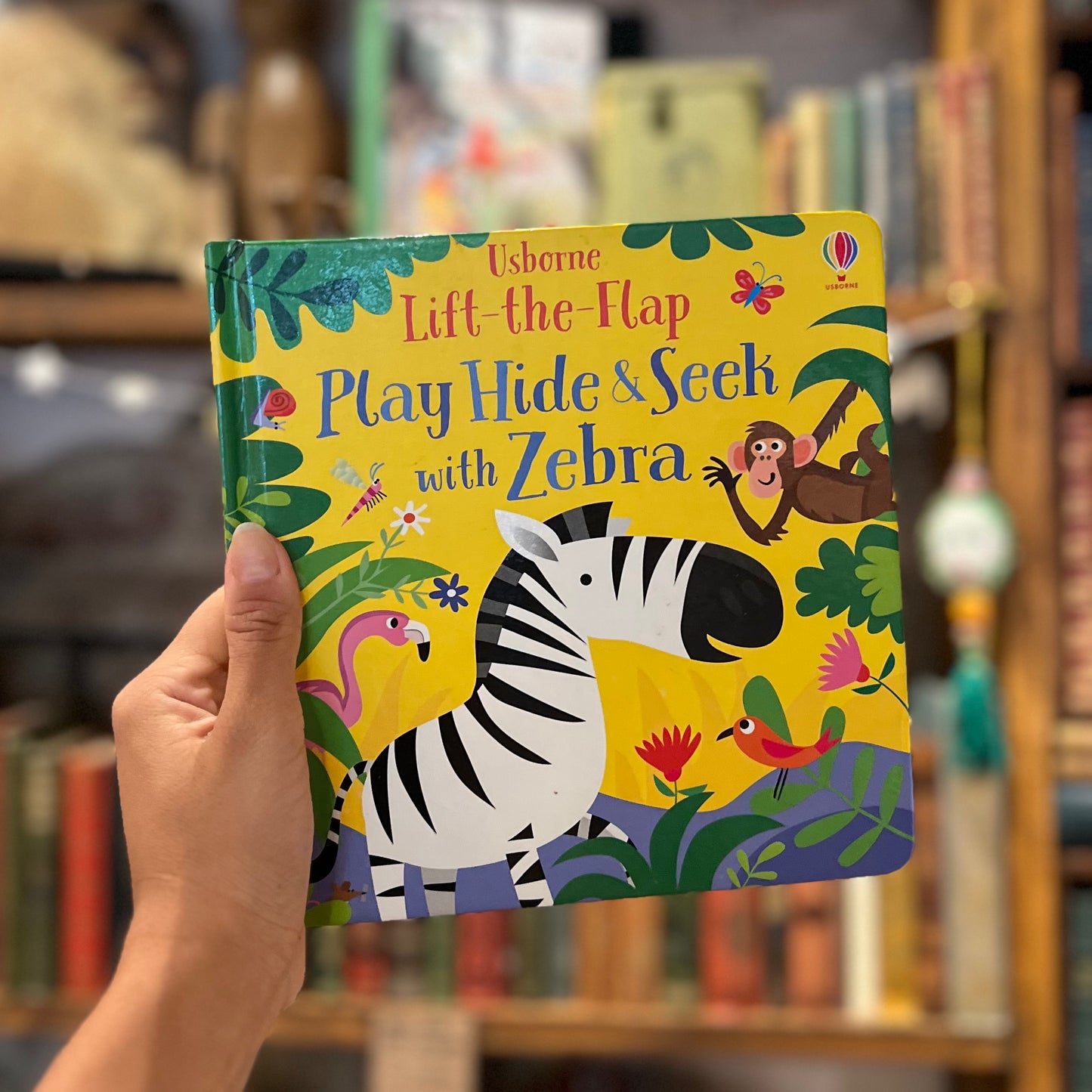 Play Hide & Seek with Zebra – Sam Taplin, Gareth Lucas