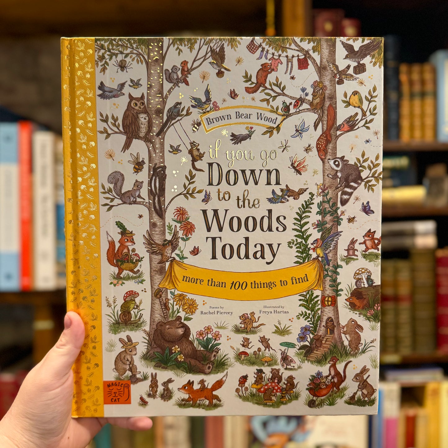 If You Go Down to the Woods Today: More than 100 Things to Find – Rachel Piercey and Freya Hartas