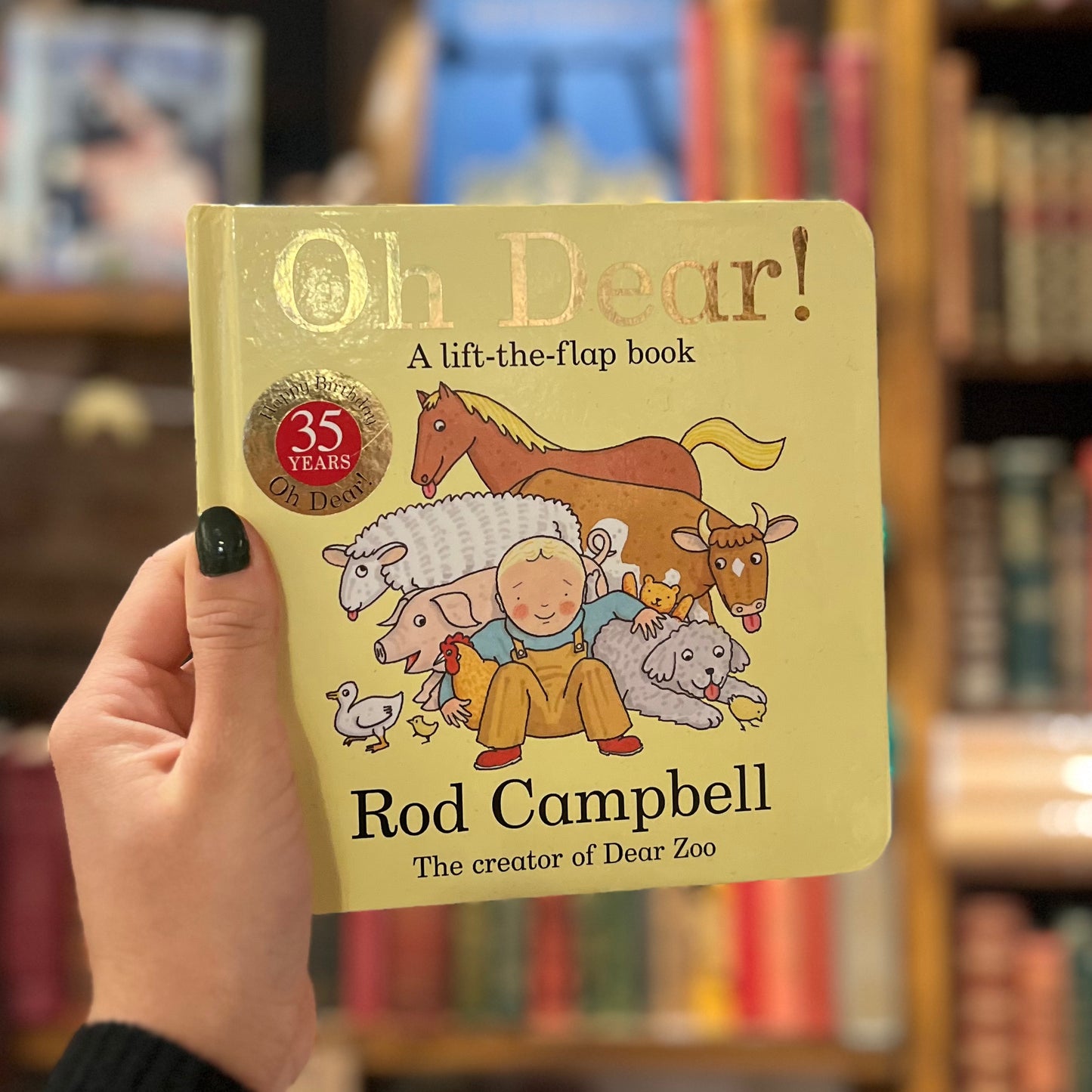 Oh Dear! A life-the-flap book – Rod Campbell