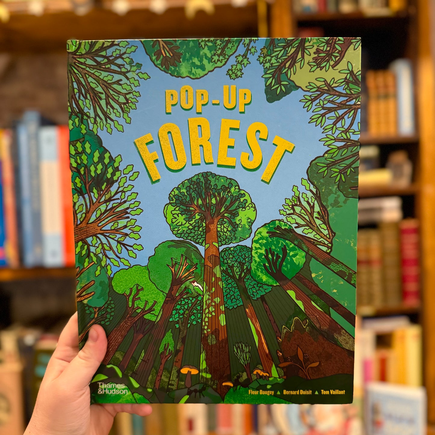 Pop-Up Forest – Fleur Daugey, Bernard Duisit and Tom Vaillat
