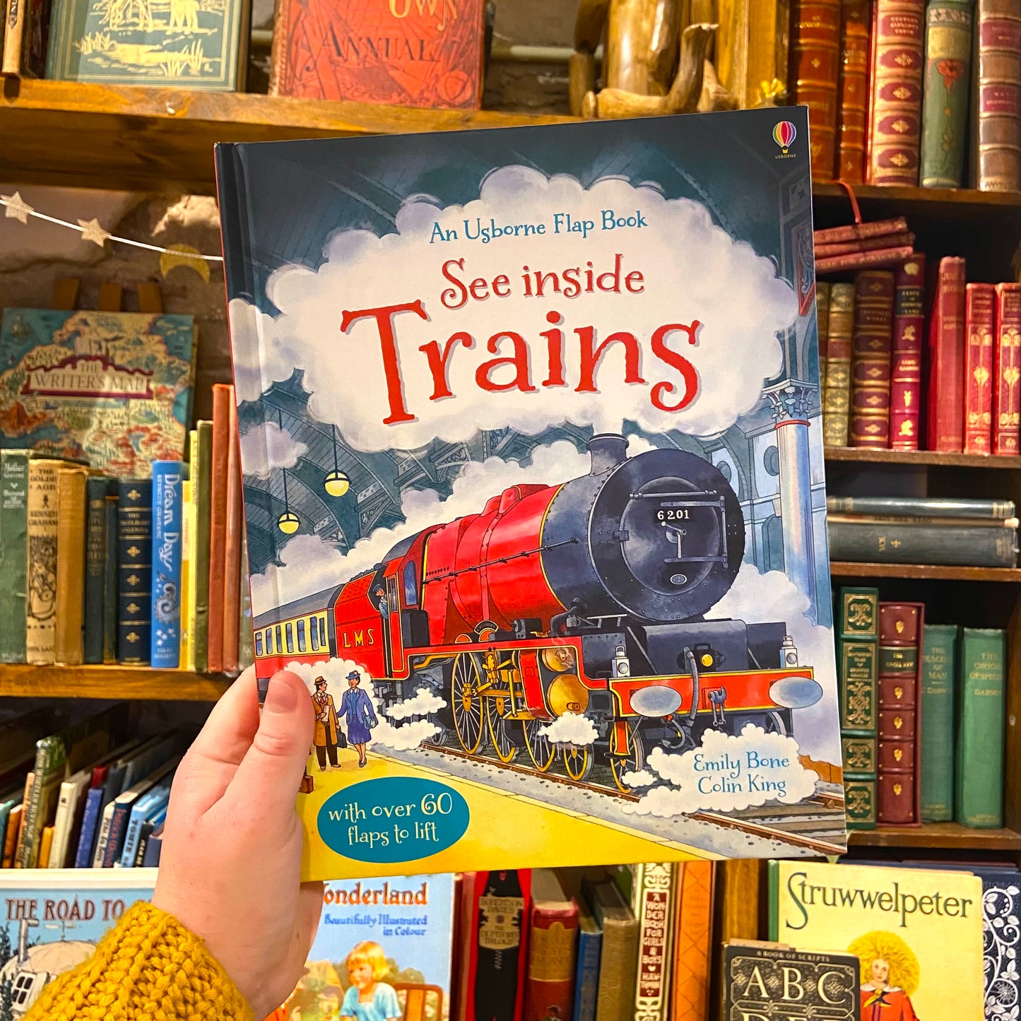 Usborne See Inside Trains