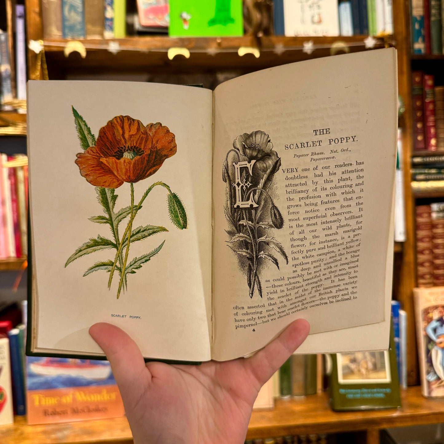 Familiar Wild Flowers (6 Volumes with Coloured Plates) – F. Edward Hume