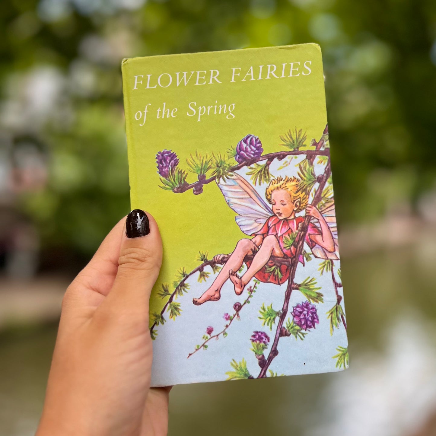 Flower Fairies of the Spring – Cicely Mary Barker