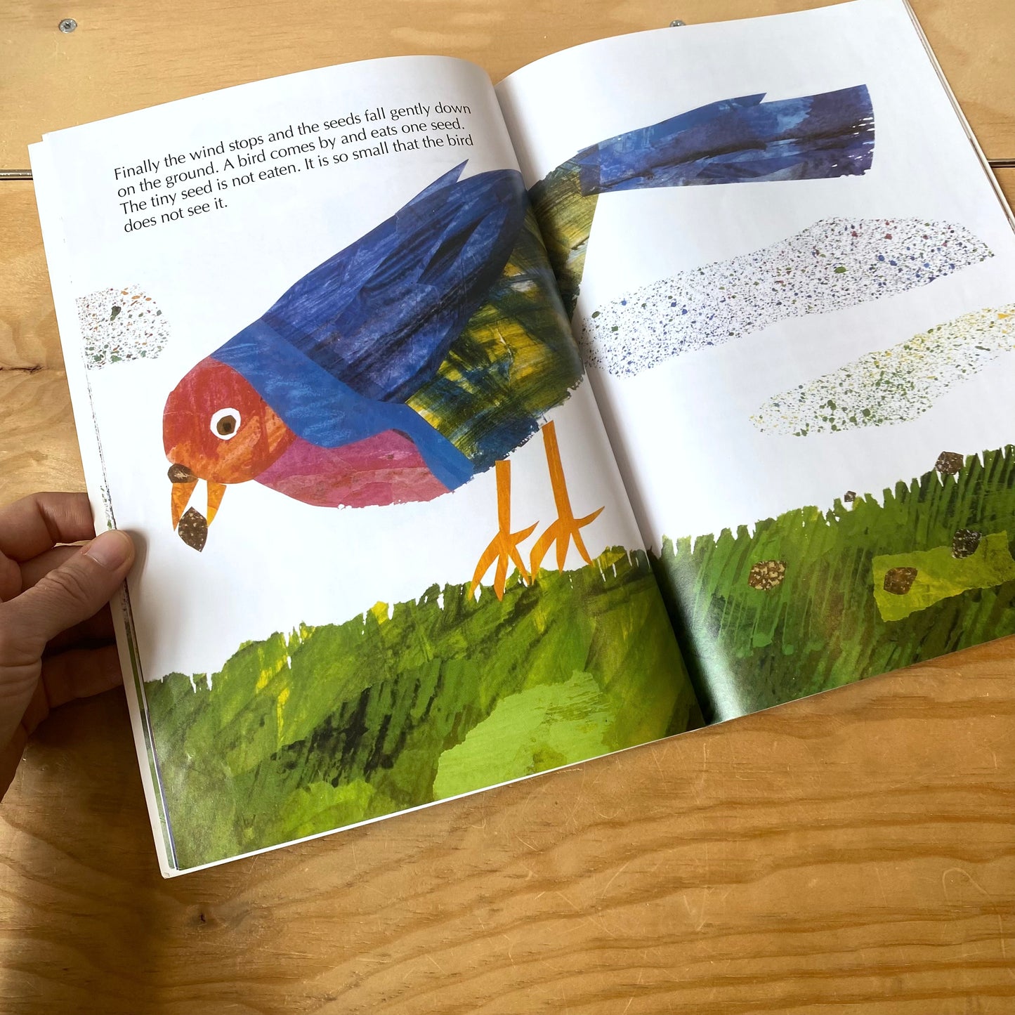 The Tiny Seed / Eric Carle
