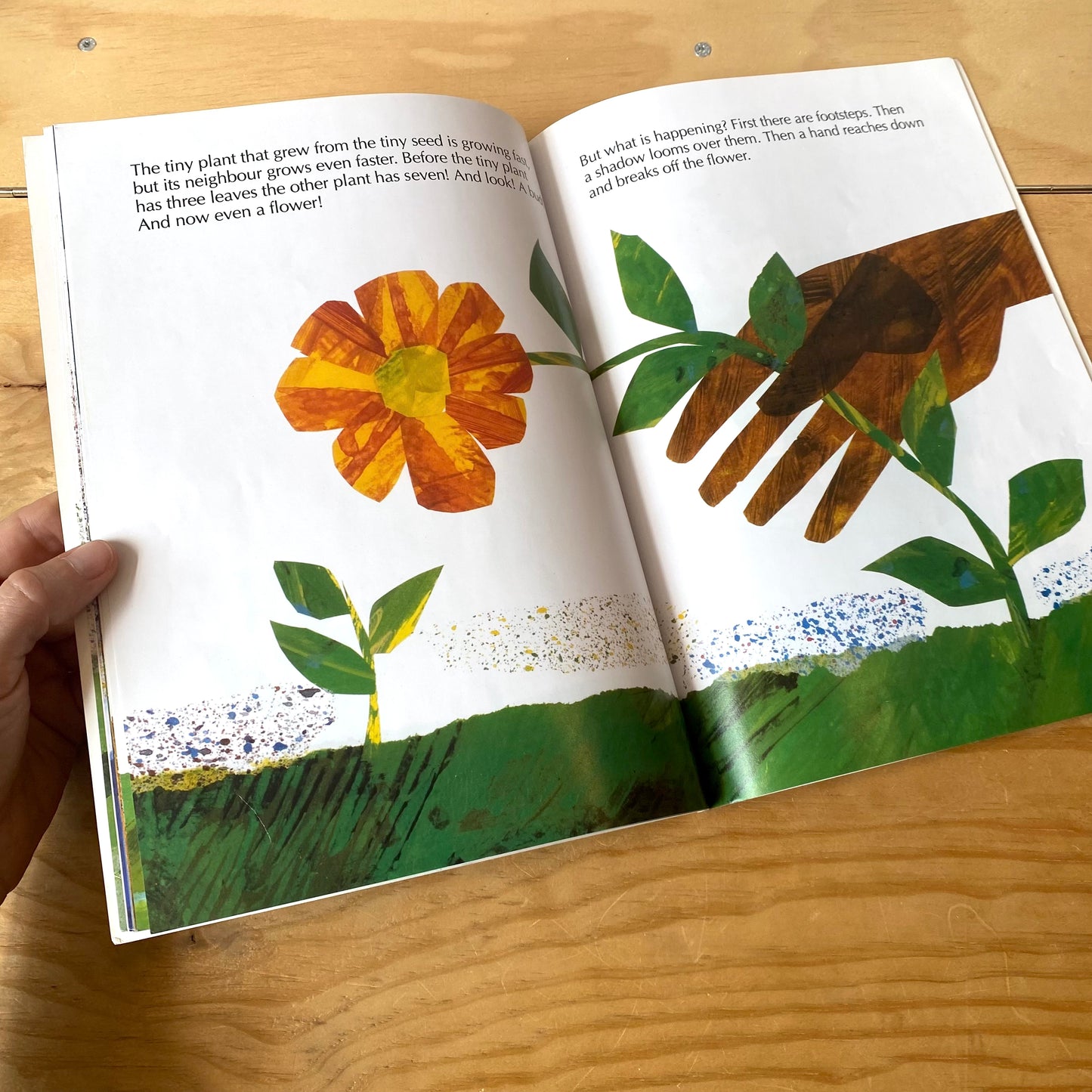 The Tiny Seed / Eric Carle