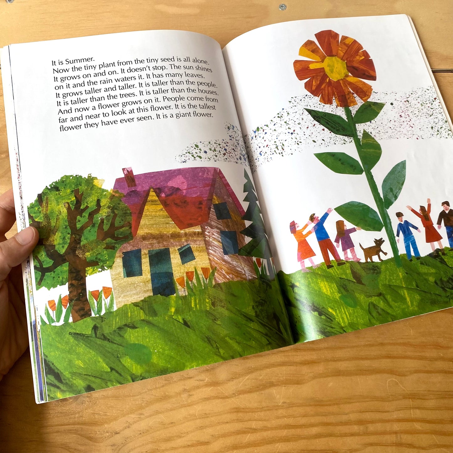 The Tiny Seed / Eric Carle
