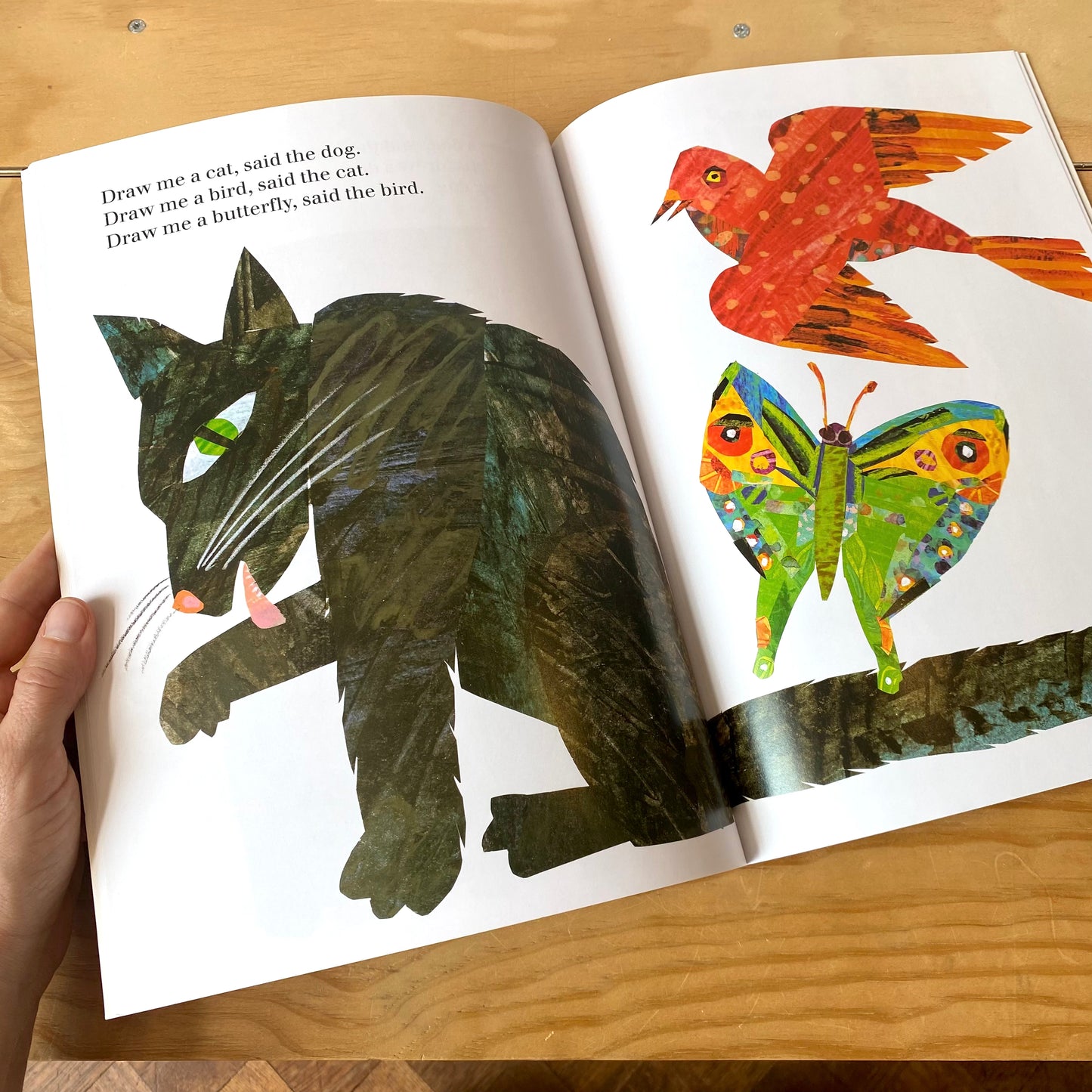 Draw Me a Star / Eric Carle