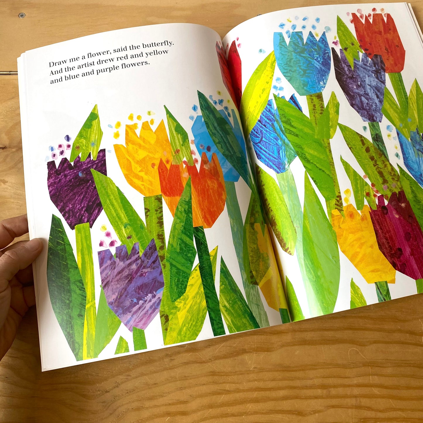 Draw Me a Star / Eric Carle