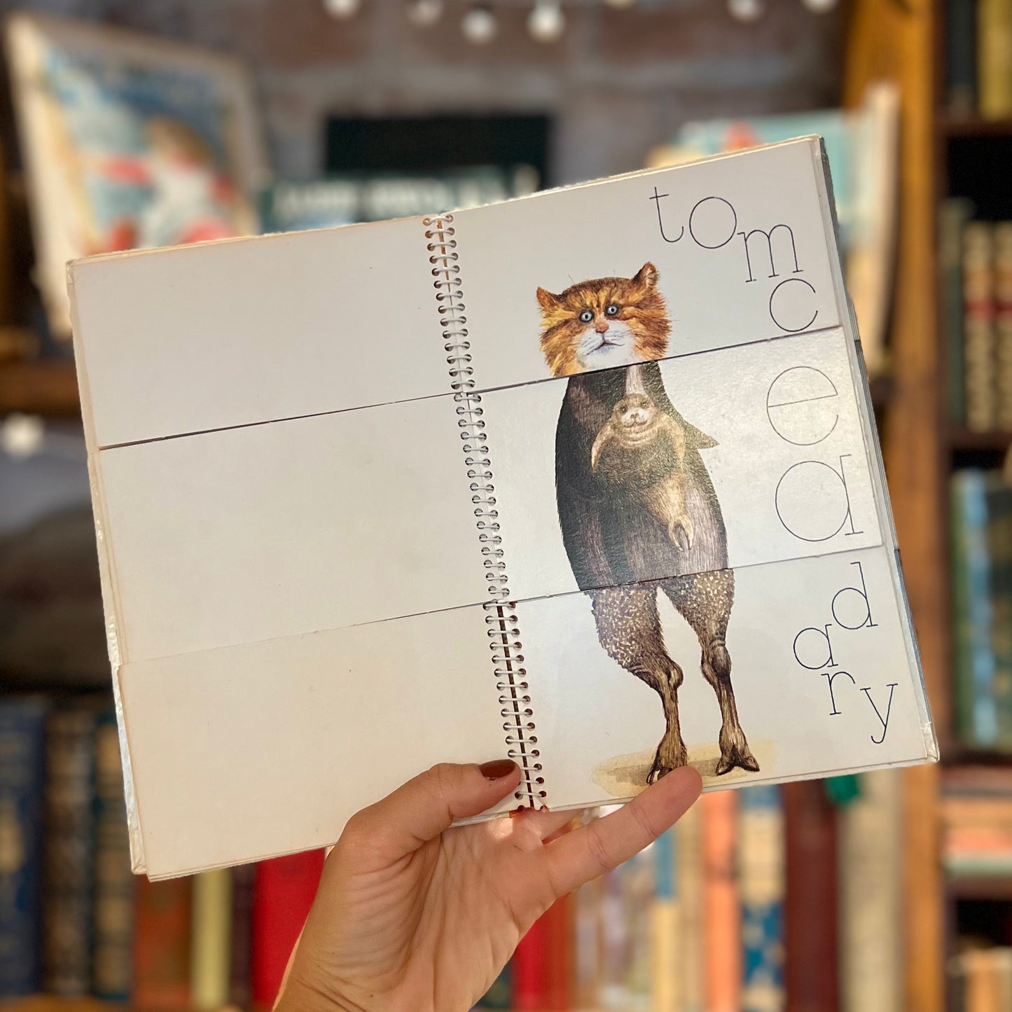 729 Animal Allsorts (1980 First Edition) – Helen Oxenbury