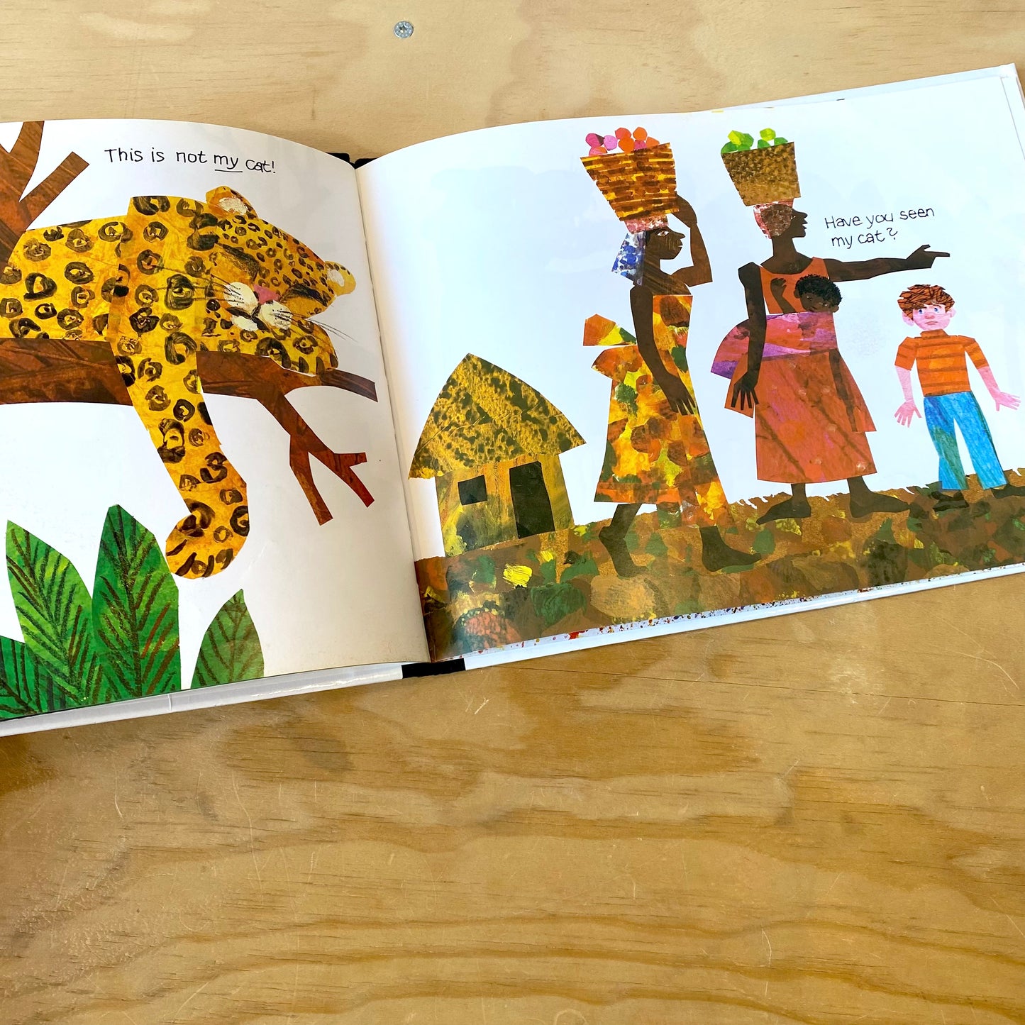 Have You Seen My Cat? / Eric Carle