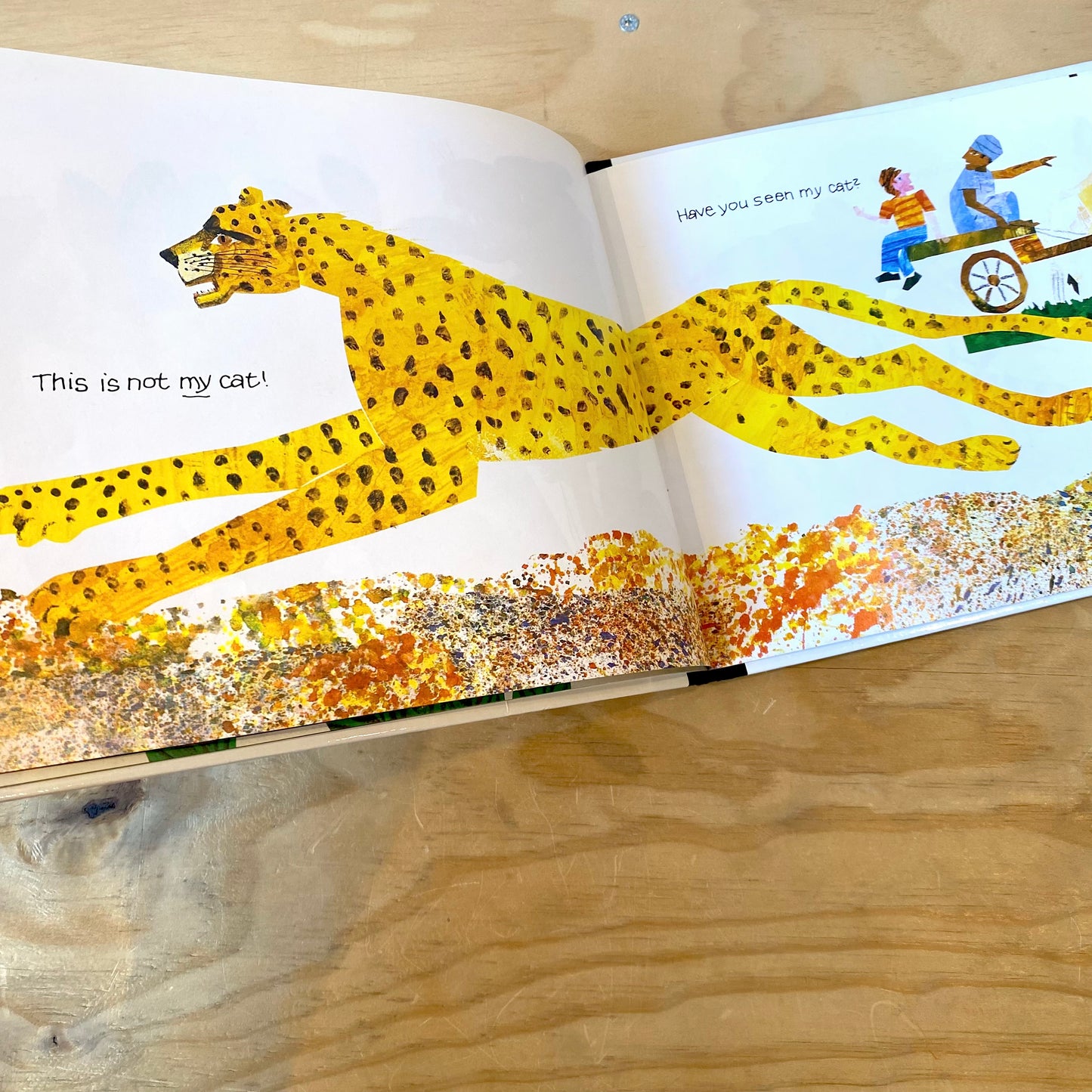 Have You Seen My Cat? / Eric Carle