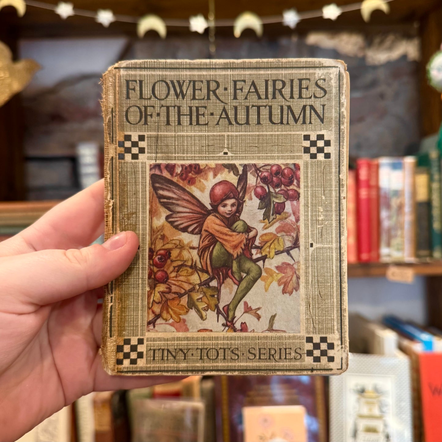 Flower Fairies of the Autumn – Cicely M. Barker