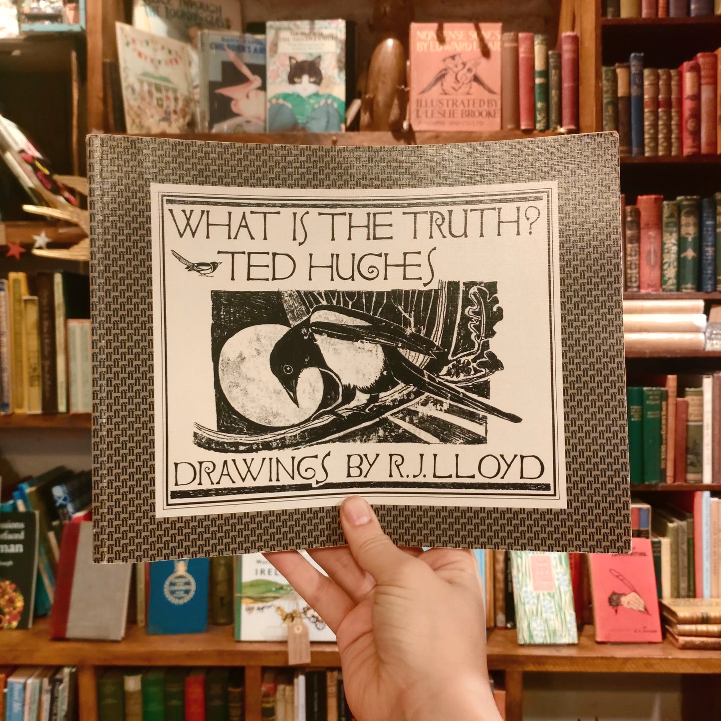 What Is The Truth? (First Paperback Edition) – Ted Hughes, R.J. Lloyd