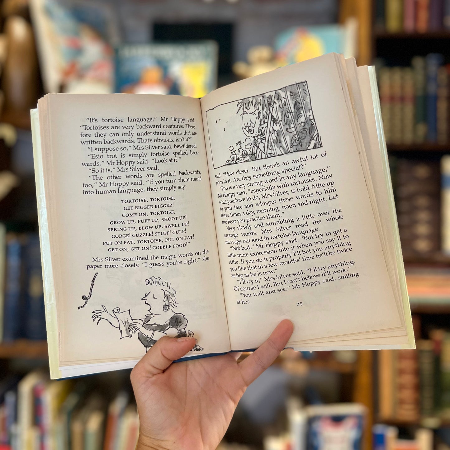 Esio Trot (First UK Edition 1990) – Roald Dahl and Quentin Blake