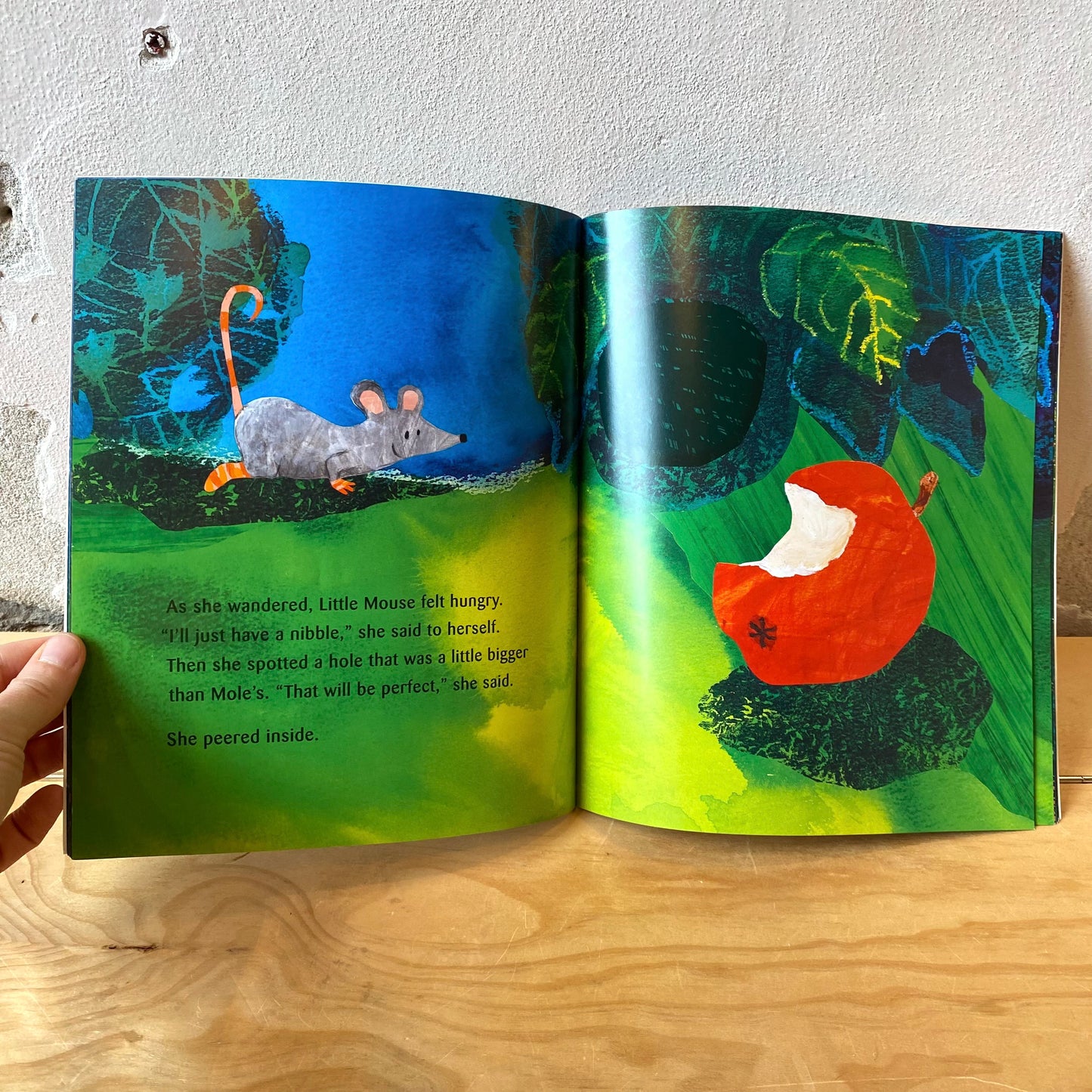 A New House for Mouse / Petr Horacek