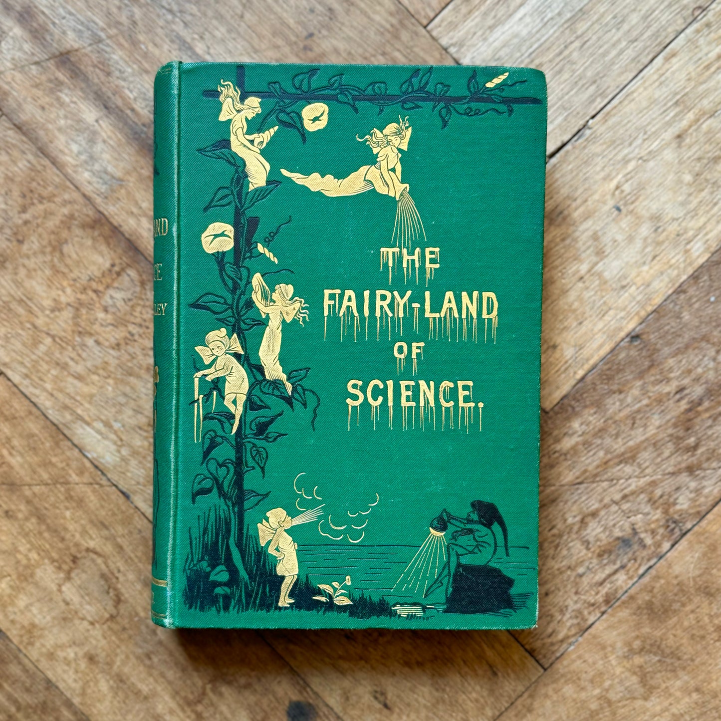 The Fairy-Land of Science (First Edition) – A.B. Buckley
