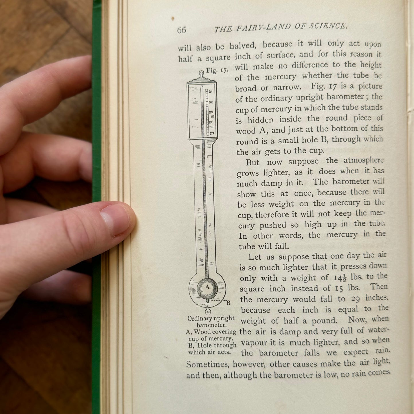 The Fairy-Land of Science (First Edition) – A.B. Buckley