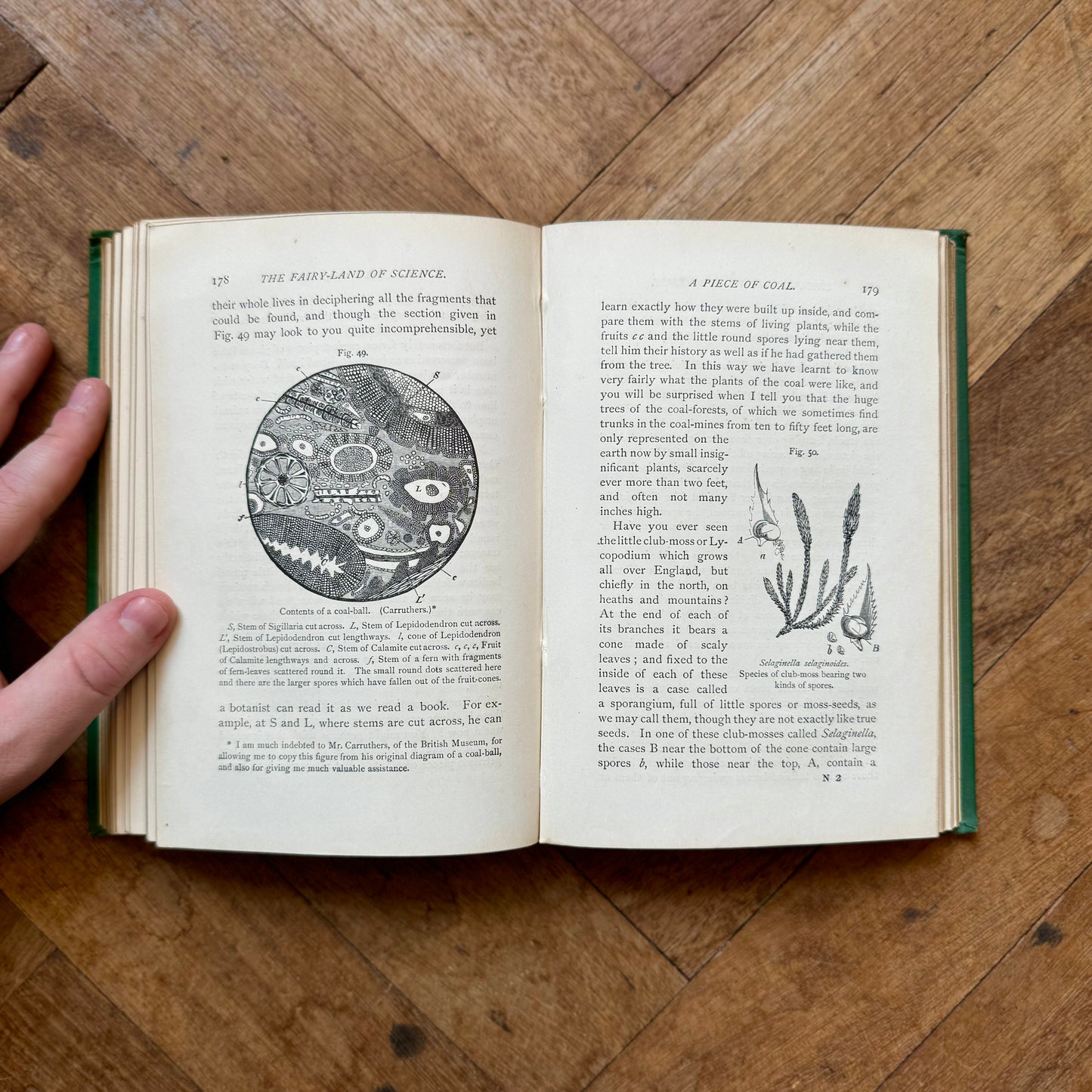The Fairy-Land of Science (First Edition) – A.B. Buckley
