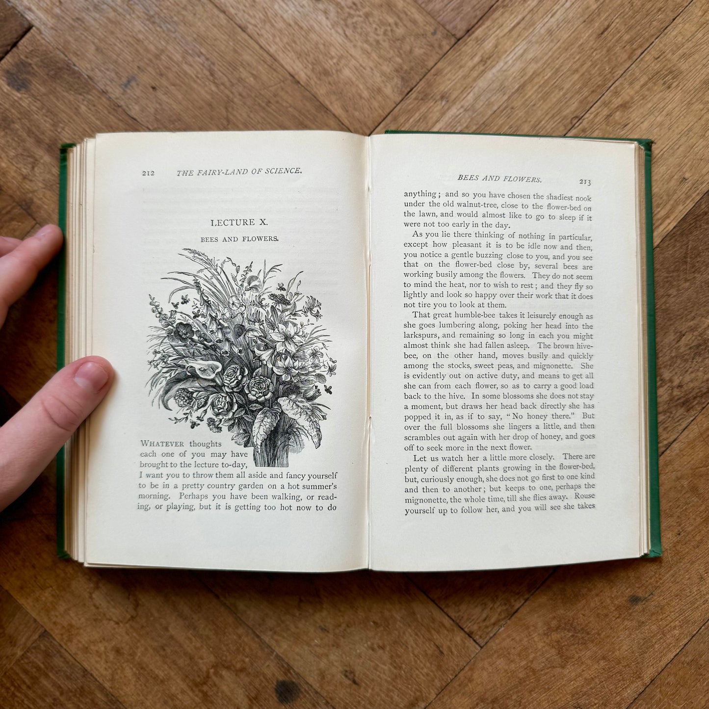 The Fairy-Land of Science (First Edition) – A.B. Buckley
