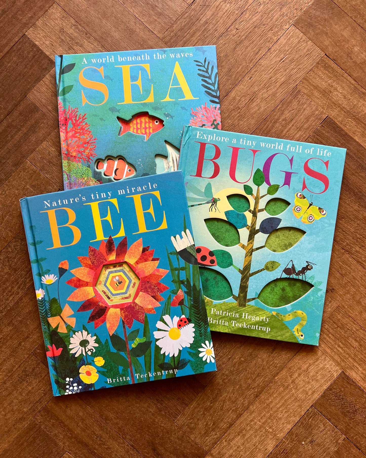 Little World: A Celebration of Our World (Set of 3 Books) – Britta Teckentrup