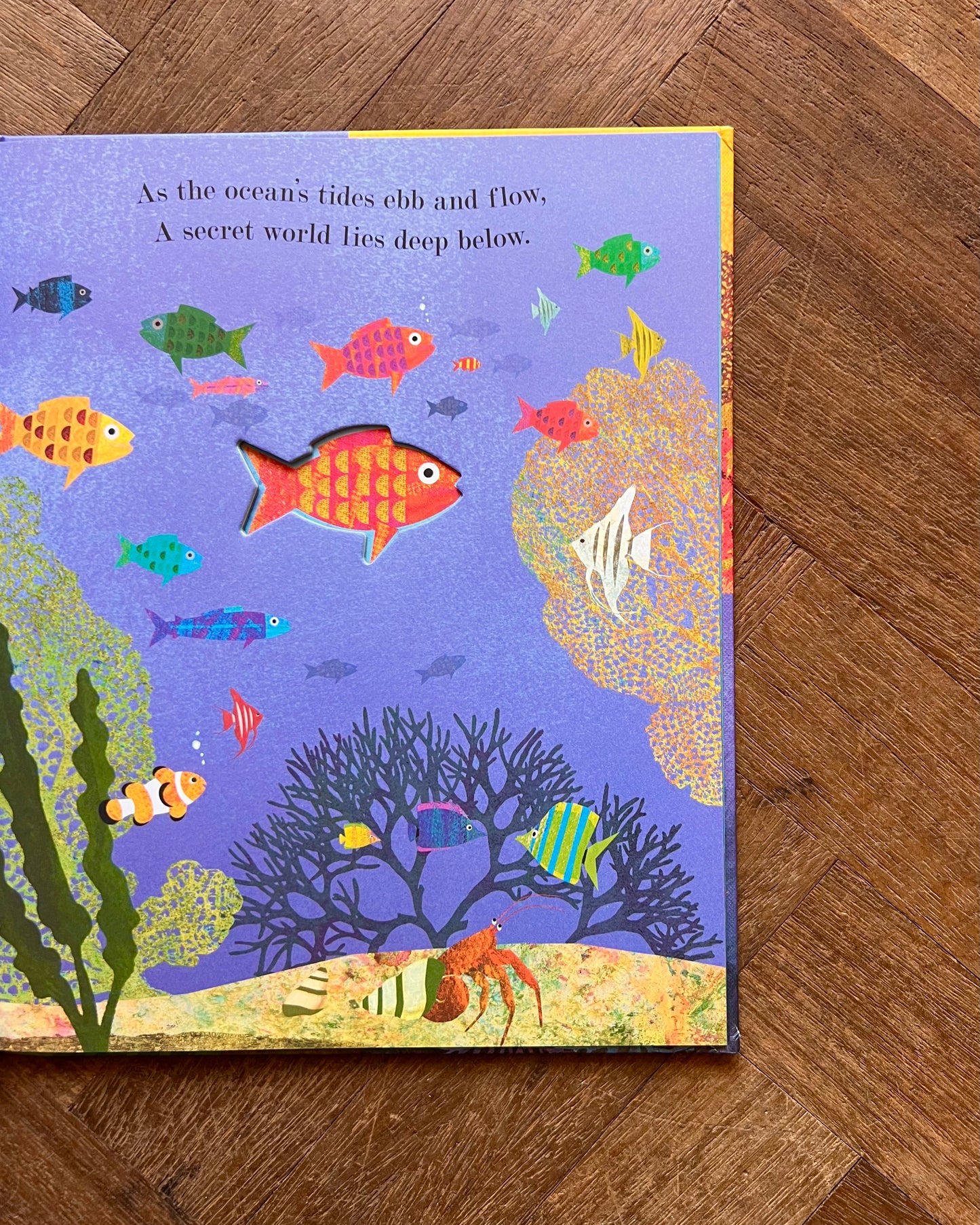 Little World: A Celebration of Our World (Set of 3 Books) – Britta Teckentrup
