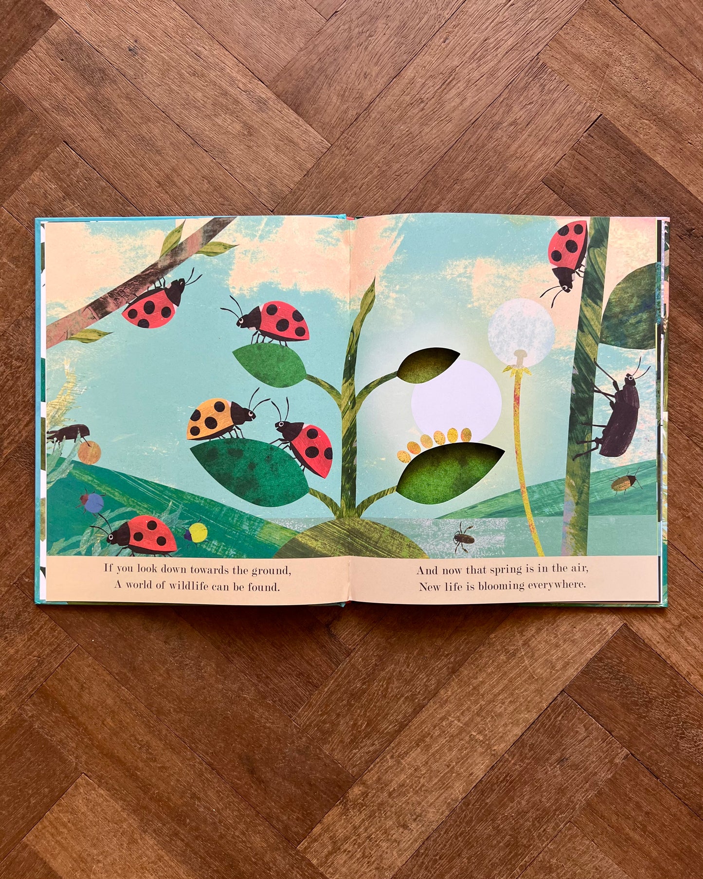 Little World: A Celebration of Our World (Set of 3 Books) – Britta Teckentrup