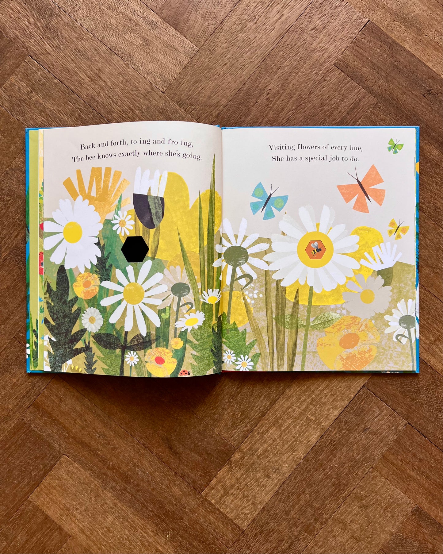 Little World: A Celebration of Our World (Set of 3 Books) – Britta Teckentrup