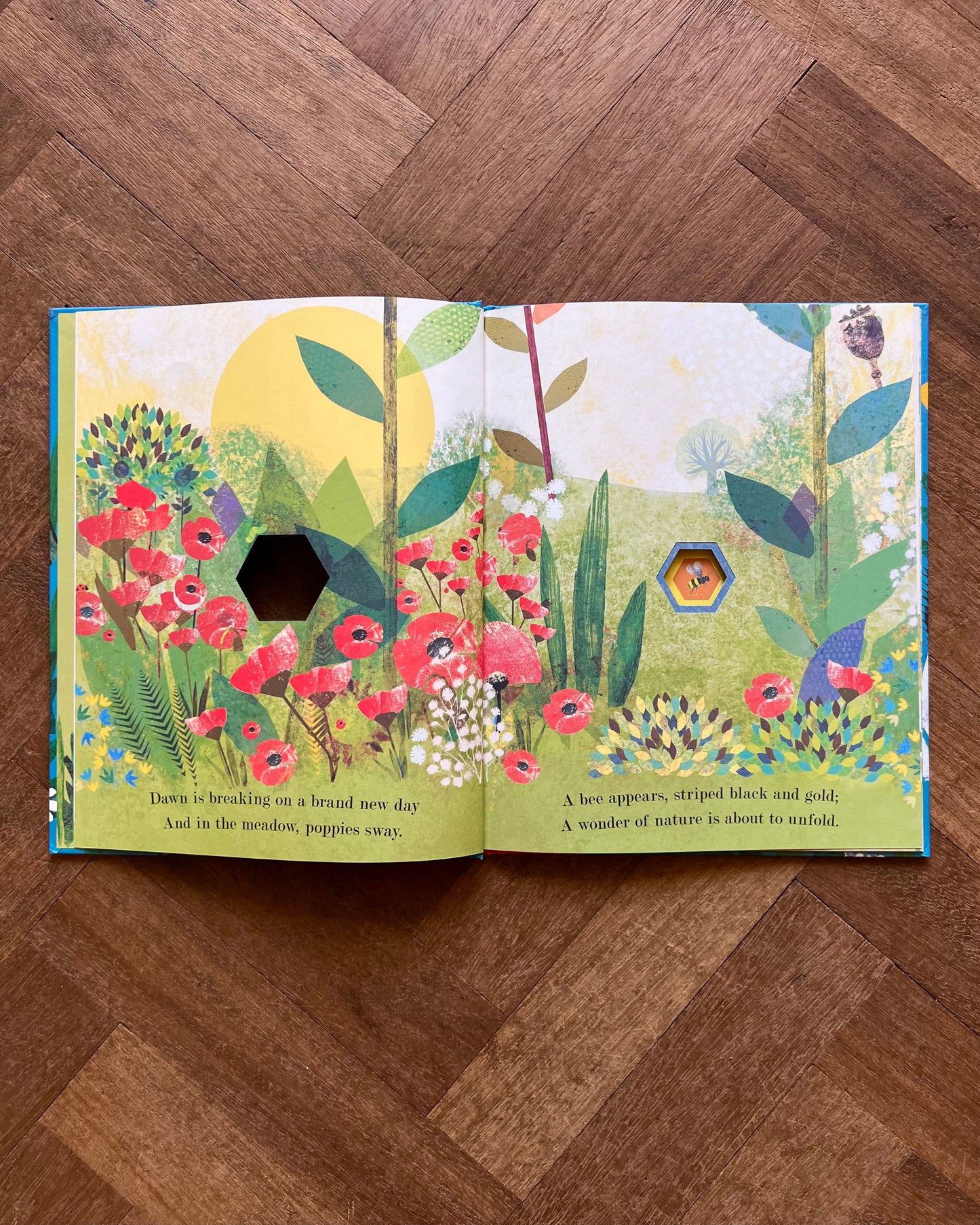 Little World: A Celebration of Our World (Set of 3 Books) – Britta Teckentrup