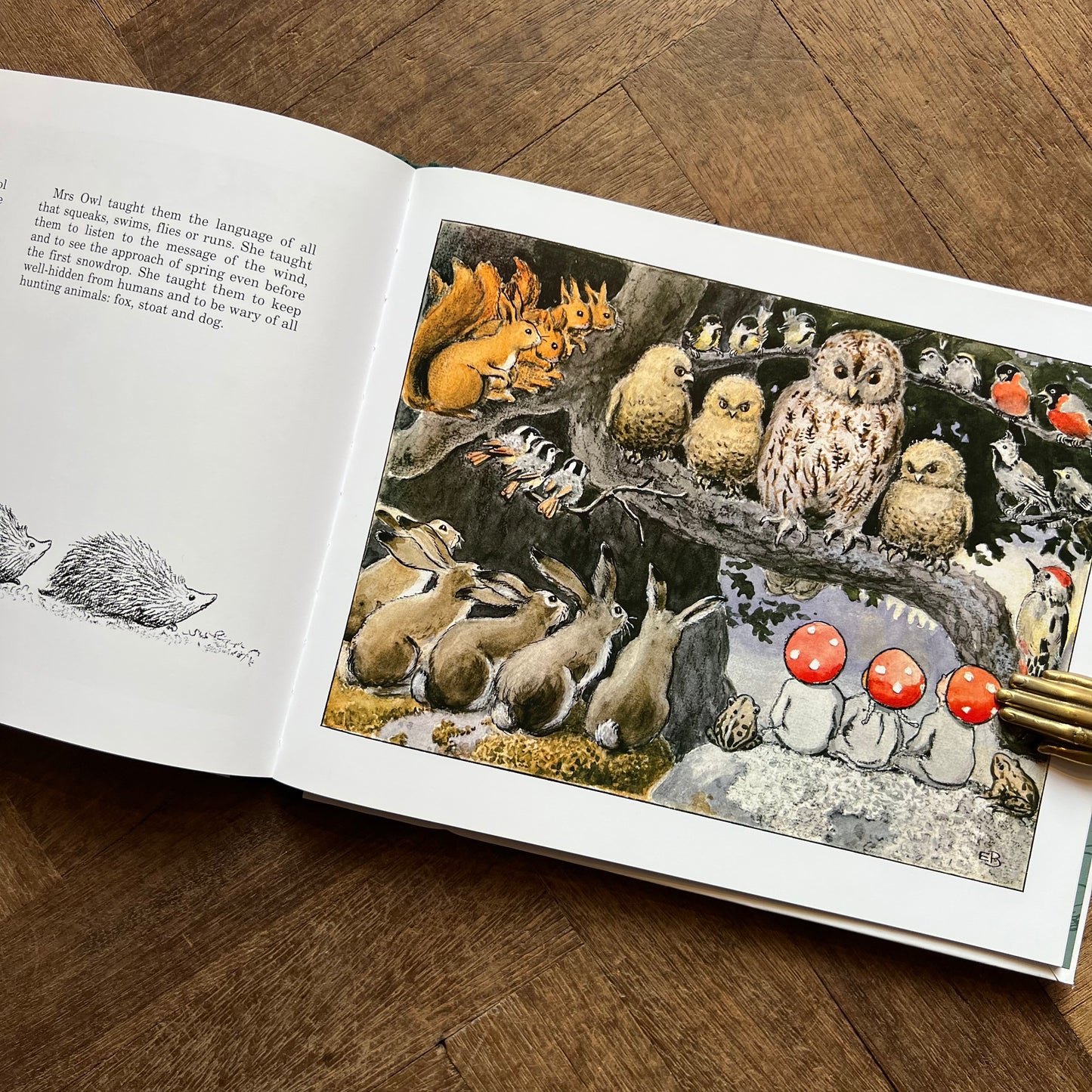 Children of the Forest – Elsa Beskow