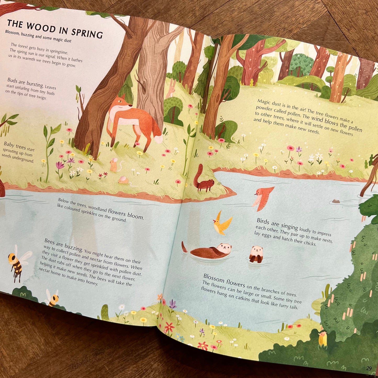 The Secret Life of Trees – Moira Butterfield, Vivian Mineker