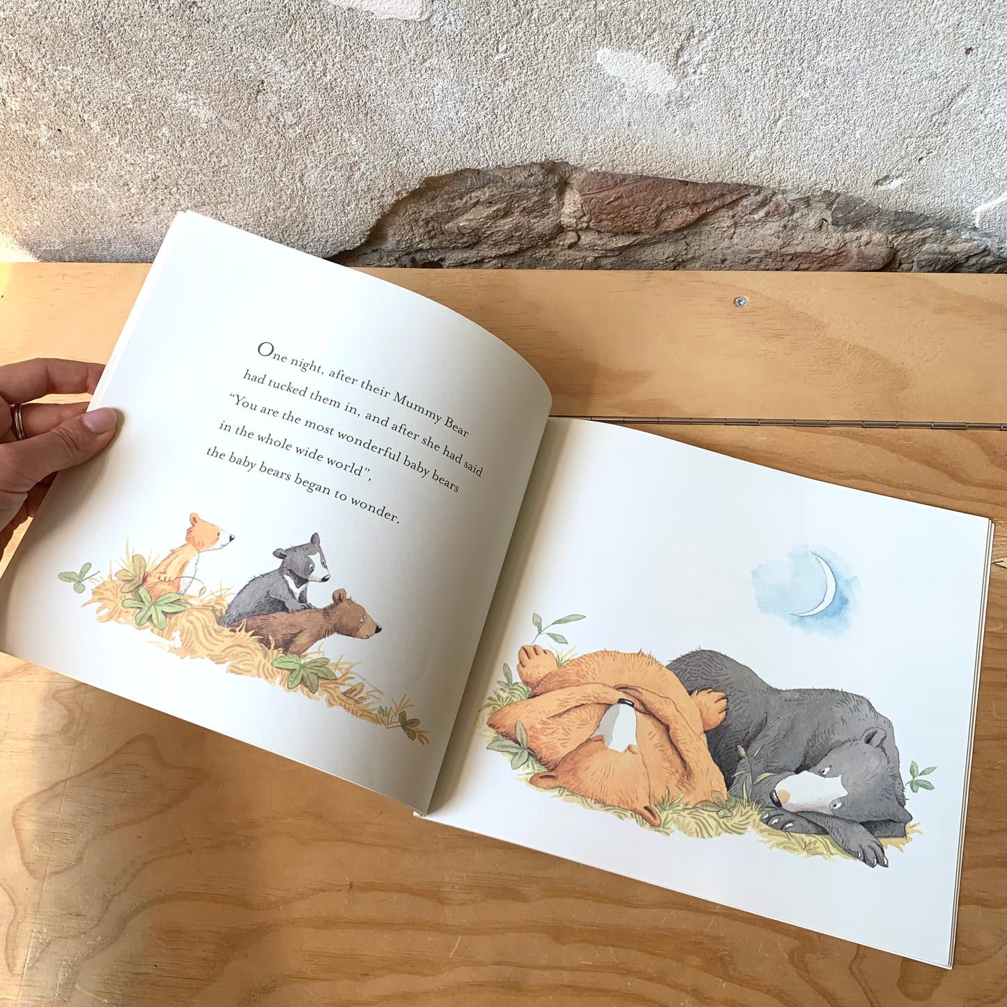 You're All My Favourites – Sam McBratney, Anita Jeram