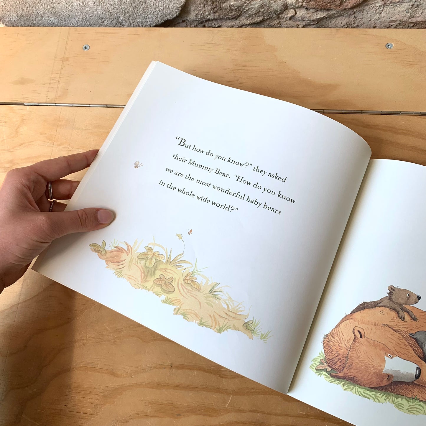 You're All My Favourites – Sam McBratney, Anita Jeram