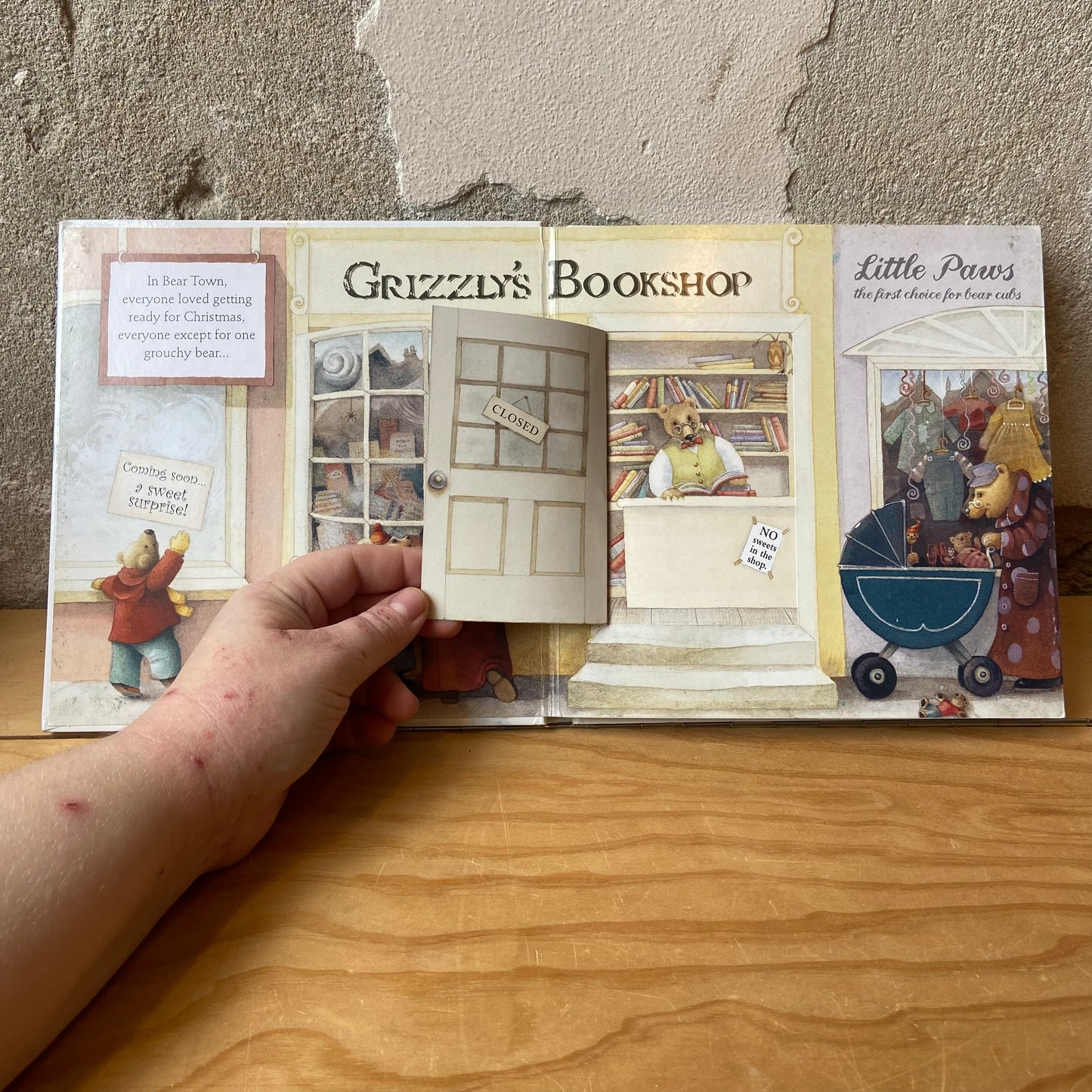 Mr. Grizzly's Christmas – Libby Hamilton and Maggie Kneen