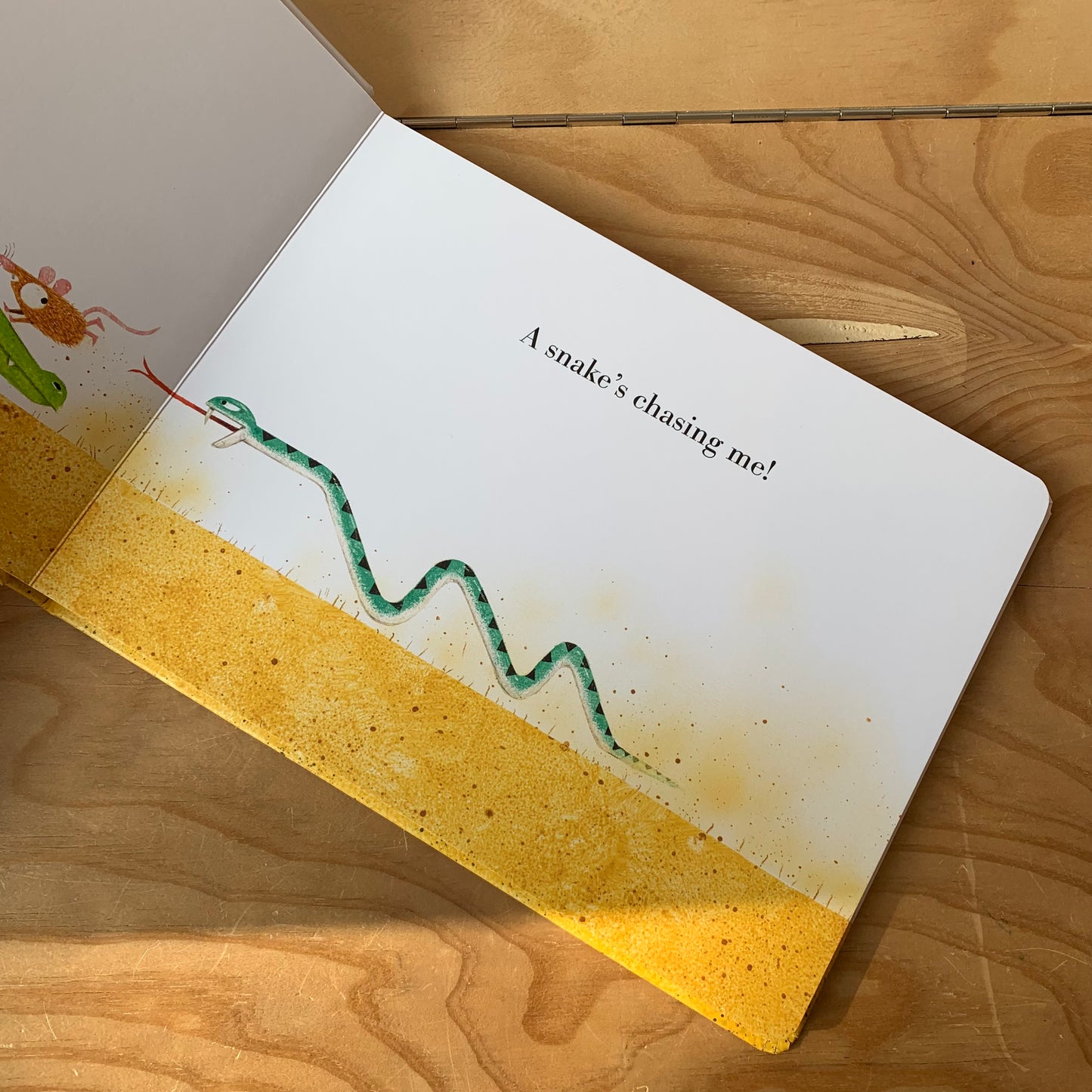 Kind Crocodile – Leo Timmers
